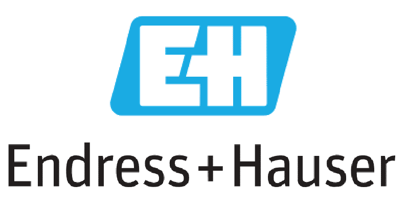 Endress-Hauser logo Products4Engineers (1).png